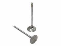 Brian Crower выпускные клапана 29 мм Toyota  lexus 2JZGTE VVTI