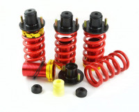 Пружины регулируемые Honda Acura 94-01