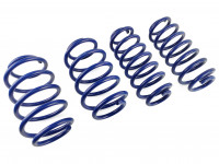 Пружины заниженные Skoda Octavia 15-18