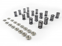 Brian Crower комплект титановых пружин с тарелками Subaru EJ Toyota 3GSTE