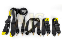 Beltenick ремень безопасности 6 точечный под HANS до 2029