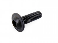 Болт M6*20 мм черный под шестигранник полукруглая шляпка с шайбой SS