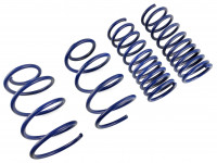 Пружины заниженные Ford Focus 1.8л 05-14
