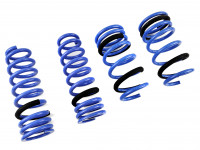 Triple S пружины под занижение Lexus IS300H XE30 2013+