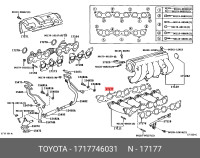 Toyota прокладка впускного коллектора 1717746031